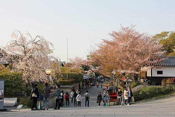 95.jpg