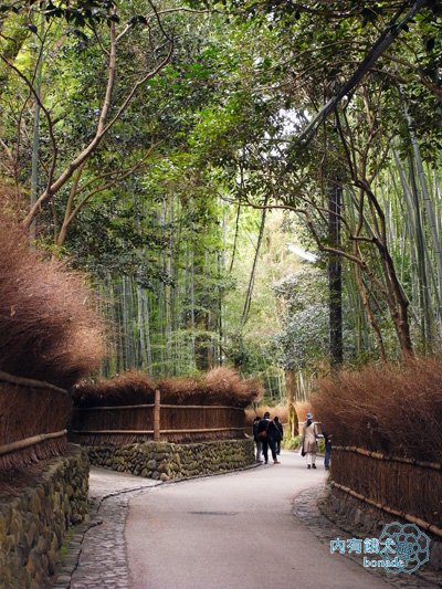 嵐山竹林小徑