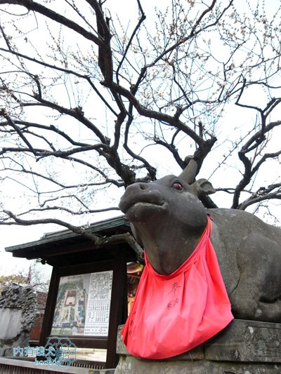 北野天滿宮．北野天満宮