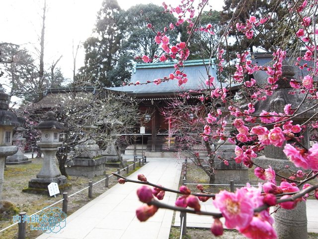 北野天滿宮．北野天満宮