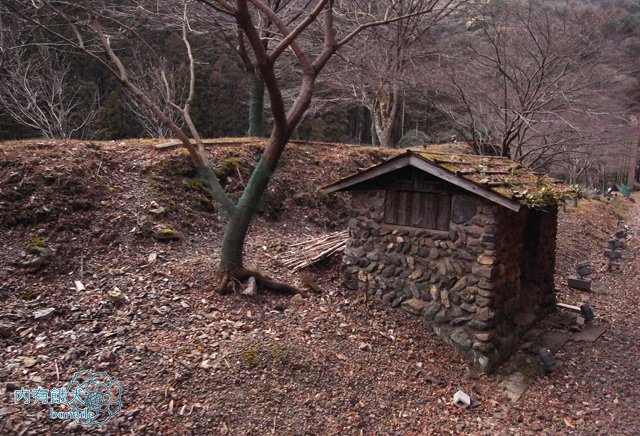 嵯峨野トロッコ列車．嵯峨野小火車