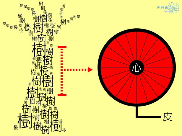 威廉提琴雲中教室