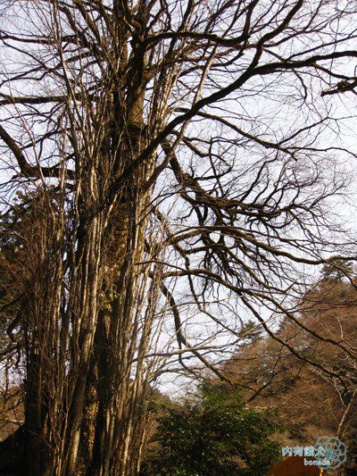 貴布禰総本宮．貴船神社