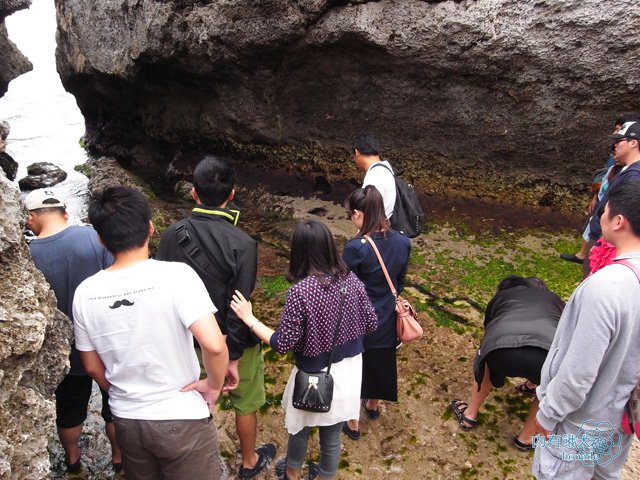 小琉球漁埕民宿潮間帶導覽