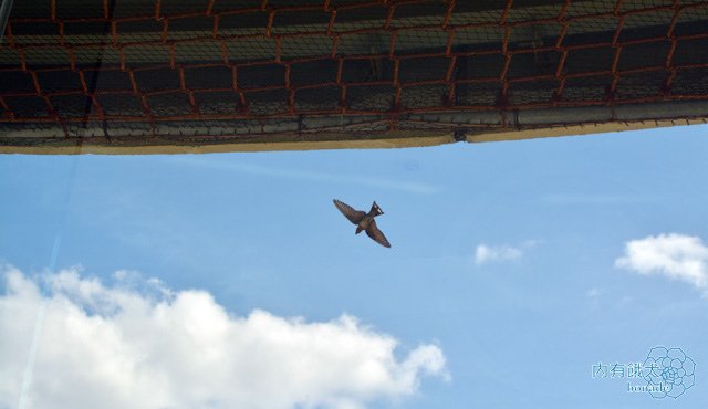 墾丁H會館