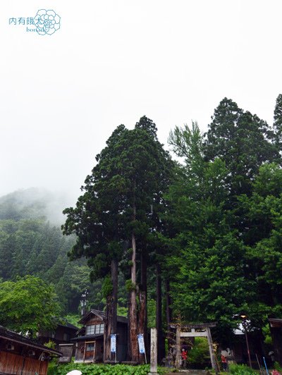 越中五箇山相倉合掌集落