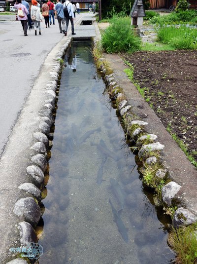 白川鄉荻町合掌造集落