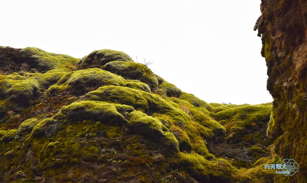Fjaðrárgljúfur．羽毛峽谷