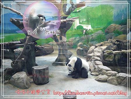 ZOO-010