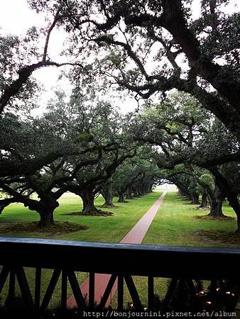 201312oakalleyplantation3.jpg