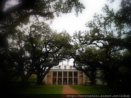 201312oakalleyplantation6.jpg