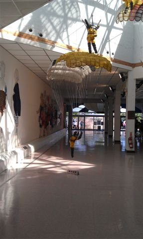 IMAG0313.jpg