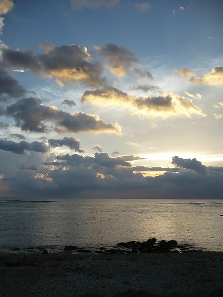 P1010141.jpg