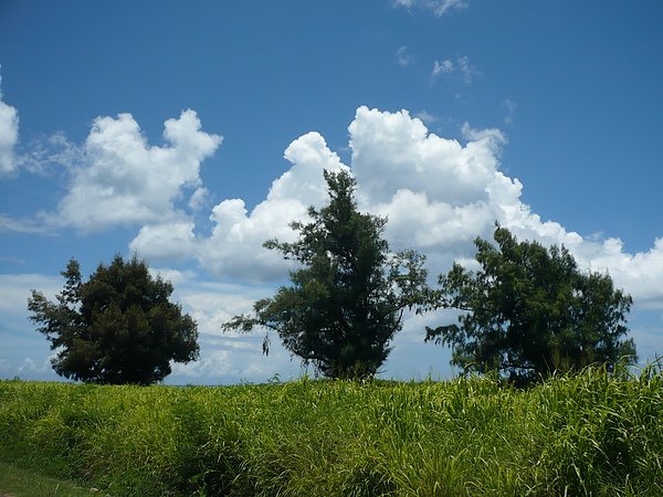 P1010076.JPG