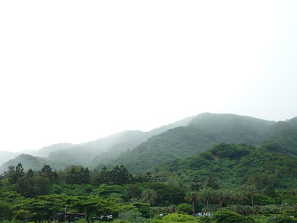 P1010136.JPG