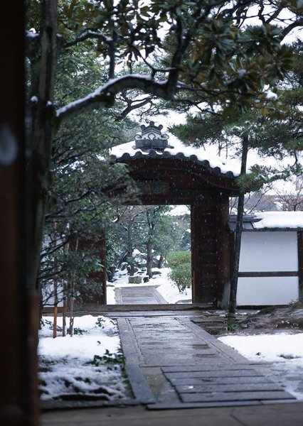 門-京都市東山区　圓徳院(2月).jpg