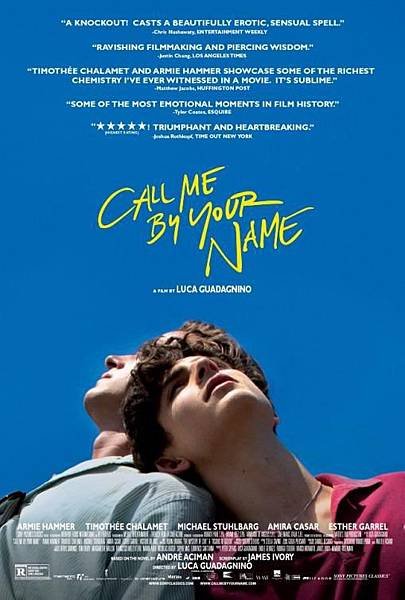 以你的名字呼喚我 Call Me by Your Name 2017