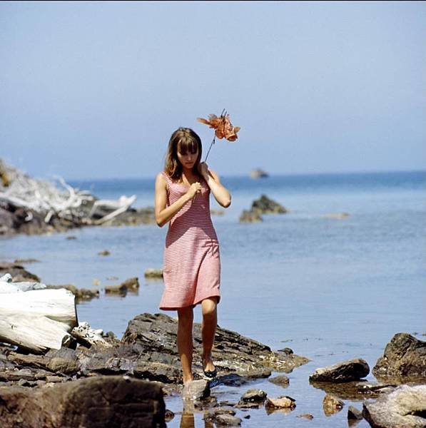 pierrot-le-fou