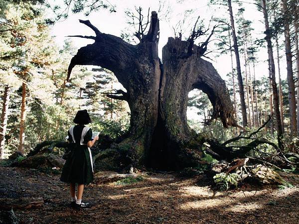 pans-labyrinth-2006-047-girl-weird-tree-00n-ndi-1000x750