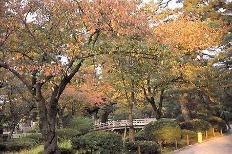 花見橋と紅葉.jpg