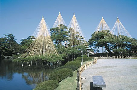 唐崎松・雪吊.jpg