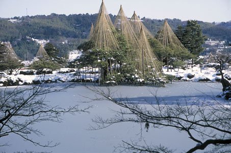 霞ヶ池と唐崎松・雪吊.jpg