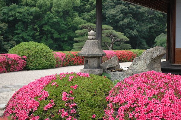 延養亭の軒先に笑くサツキ.JPG