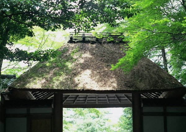 京都府京都市　法然院(7月).jpg