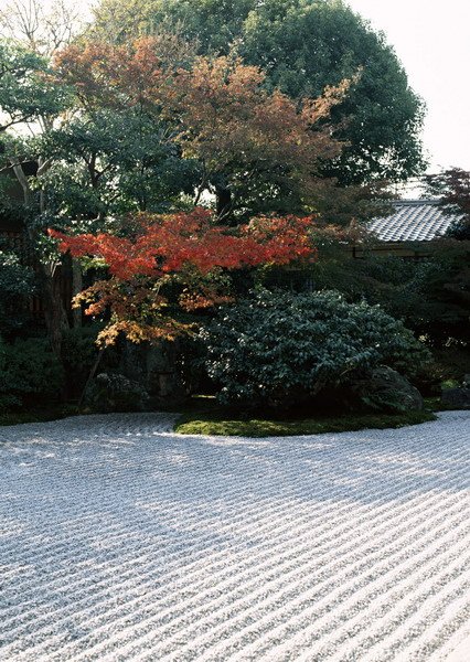 日本庭園-京都市東山区　圓徳院(11月).jpg