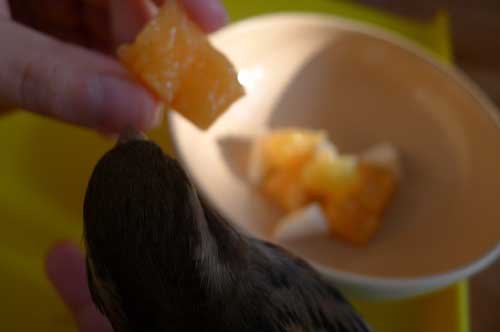 都要人家餵是怎樣