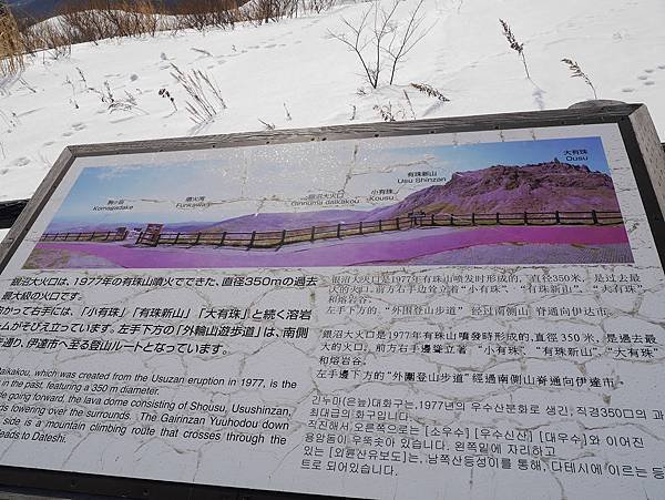 P1040388.jpg