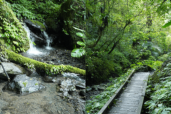 【宜蘭健行】礁溪 抹茶山。聖母登山步道，攻頂咬一口抹茶冰淇淋