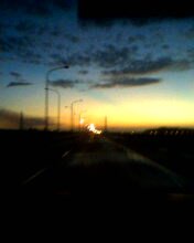 IMG0207A.jpg