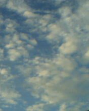 IMG0211A.jpg