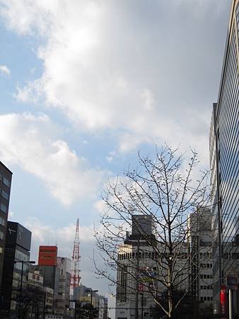 IMG_1948