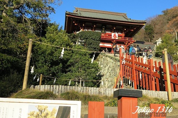131229八幡宮17.jpg