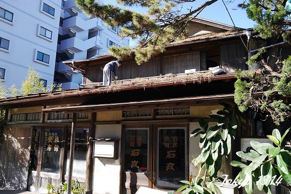 131230江之島前17.jpg