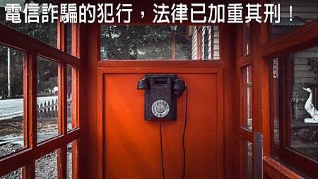 StockSnap_L6966LD98C.jpg