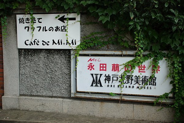 DSC_0015.jpg