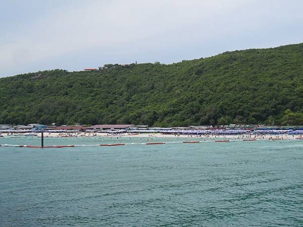 IMG_0081.JPG