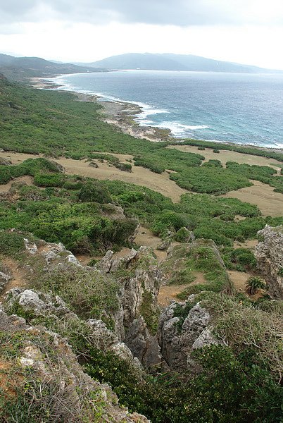 DSC_0347.jpg