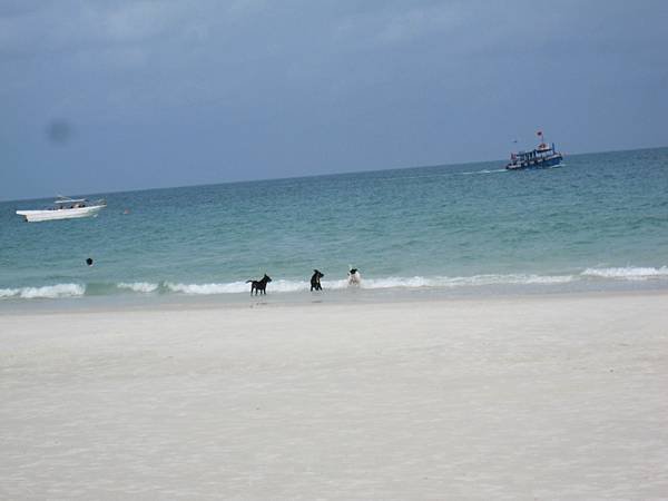 IMG_9545.JPG