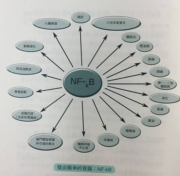 NF-kB示意