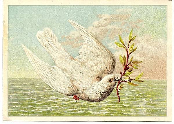 Dove-and-Branch