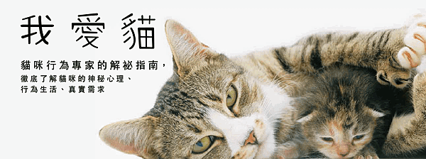 我愛貓banner