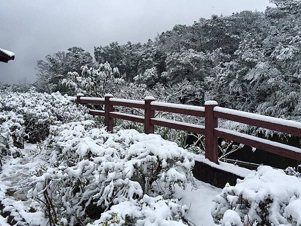 大雪