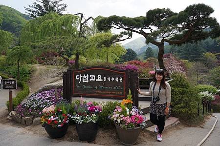 DSC04968
