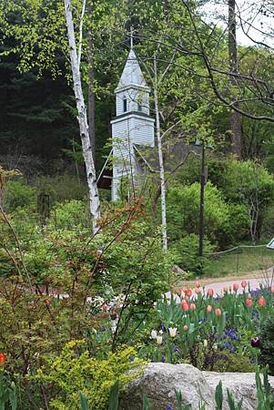 IMG_1503