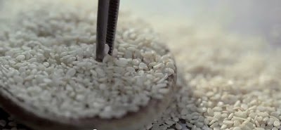 盲人點字漢堡