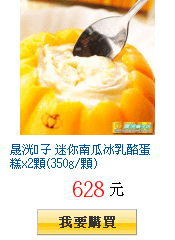 晟洸菓子 迷你南瓜冰乳酪蛋糕x2顆(350g/顆)